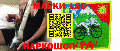 шишки Апшеронск