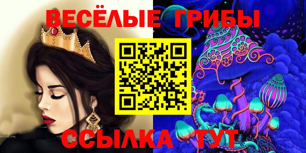 Псилоцибиновые грибы GOLDEN TEACHER  Вход с VPN  Будённовск 